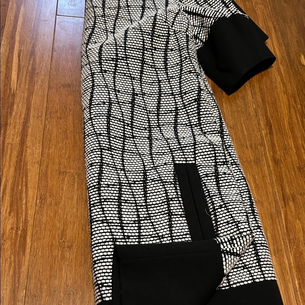 Banana Republic Black/White  Dress –Work Office Chic, Graduation Dress Size4 - Picture 8 of 9